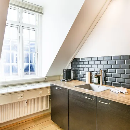 Kings Garden Penthouse - 4br & 2bath - By Daniel&jacob's Apartment Kopenhagen